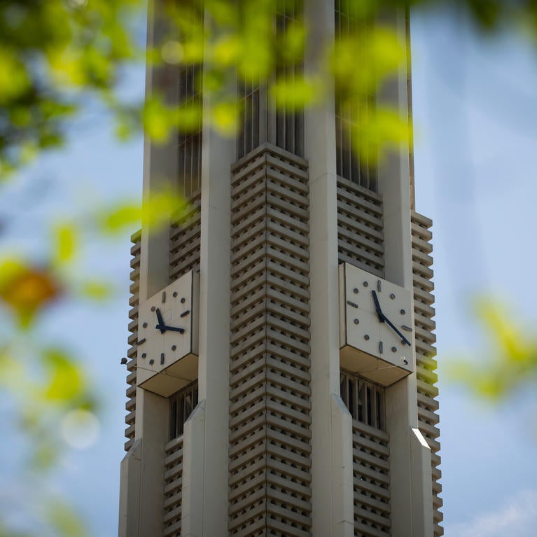 UCR Bell Clock Tower, framed in greenery