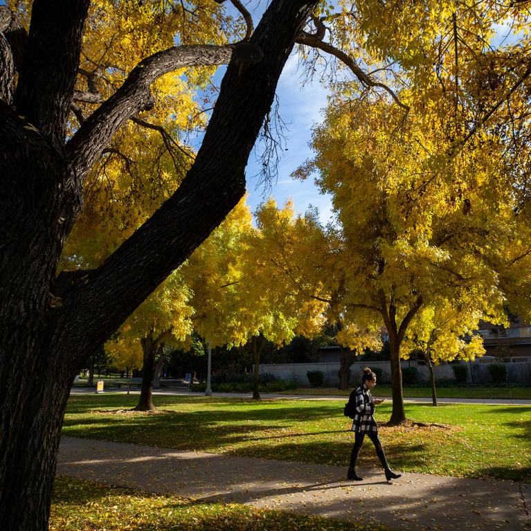 Student walking down campus path surrounded by colorful fall leaves