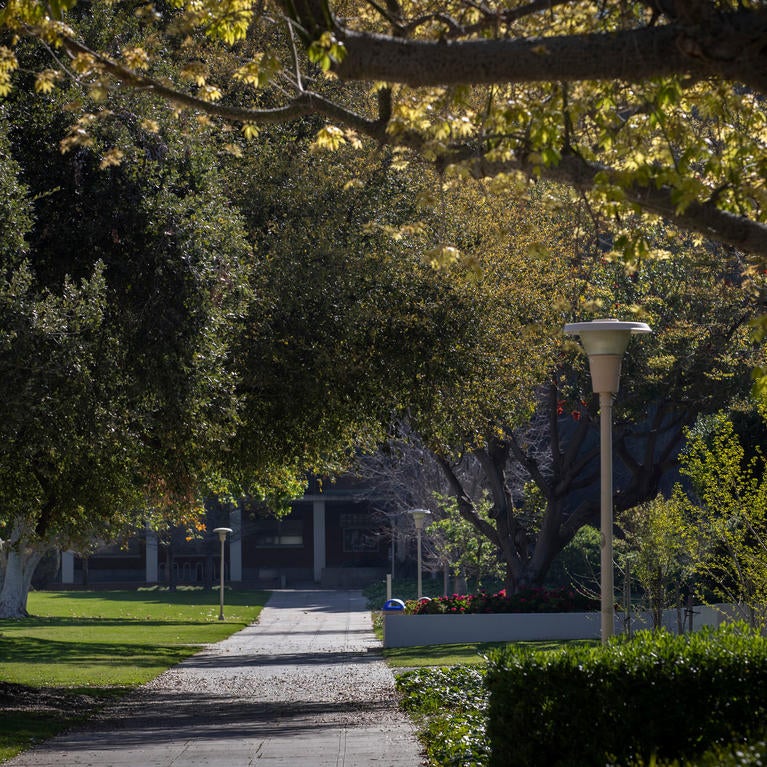 Leafy green campus, empty sidewalk