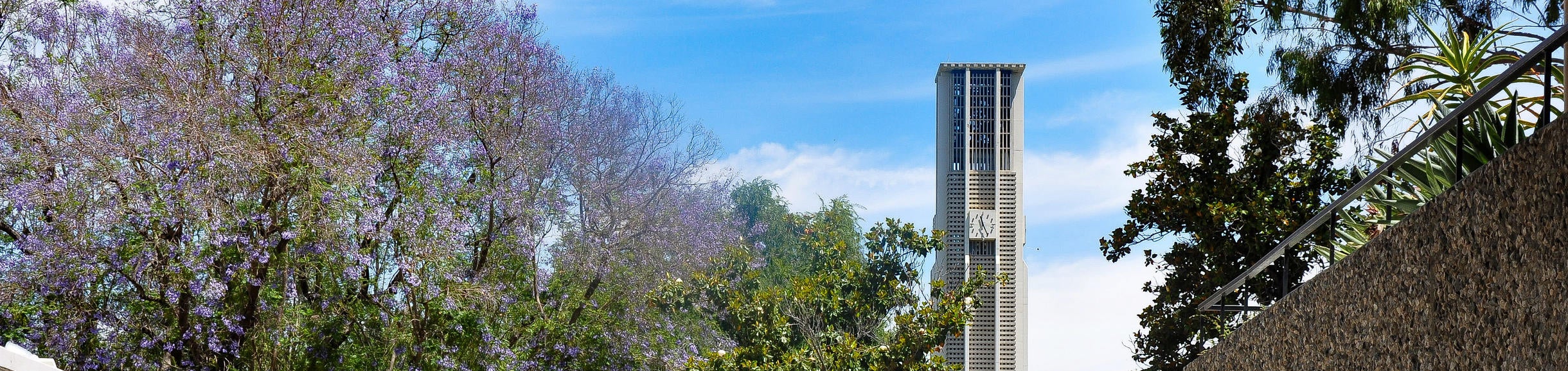 Blooming Tree and UCR Tower