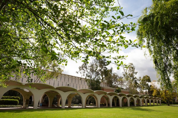 Rivera Library 