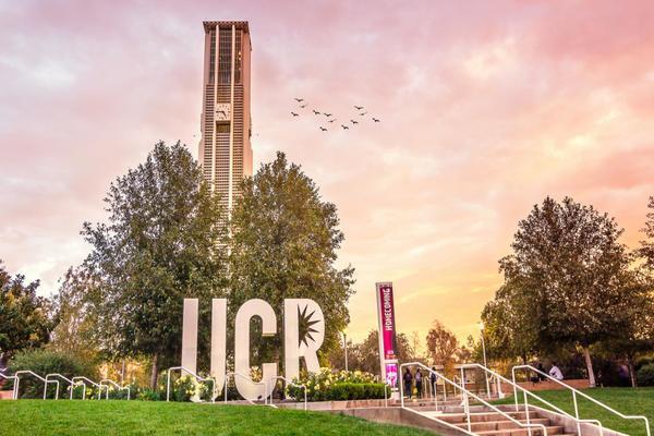 UCR Bell Tower and UCR sign with pink sky