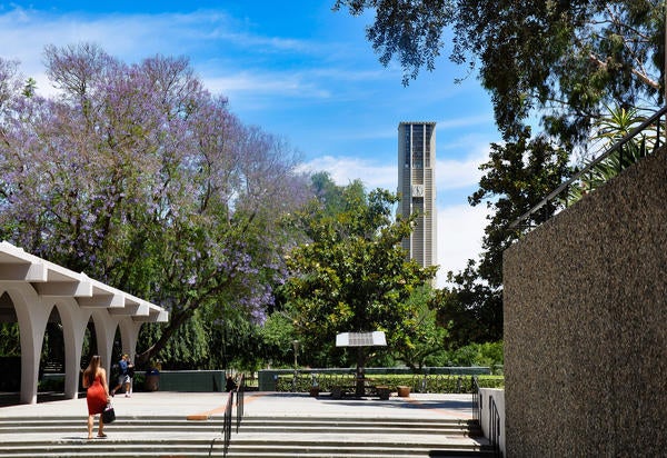 Blooming Tree and UCR Tower