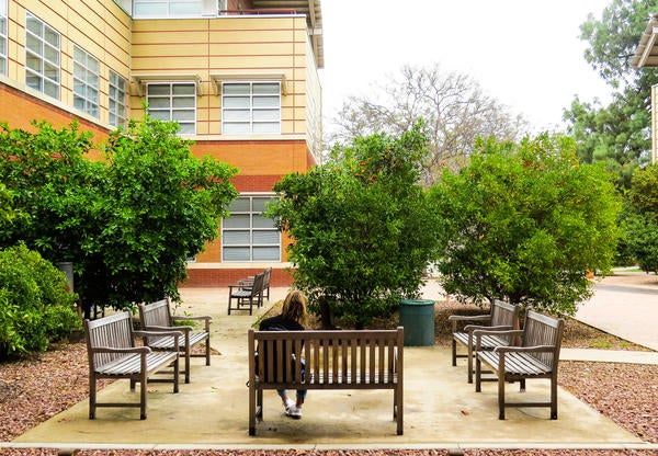 CNAS Orange Grove Benches