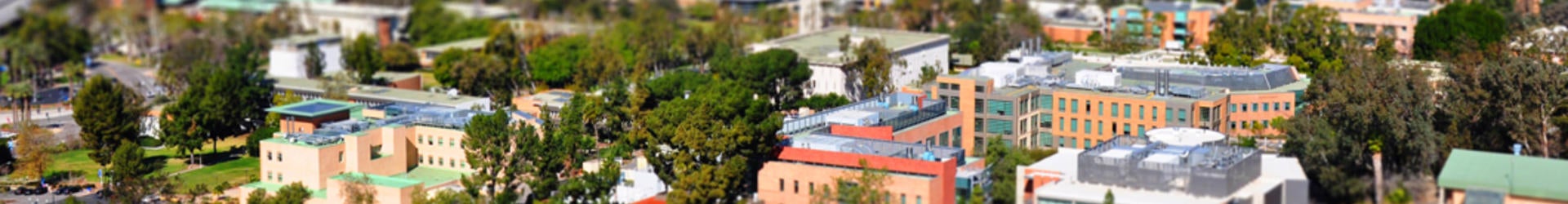 Campus from Above
