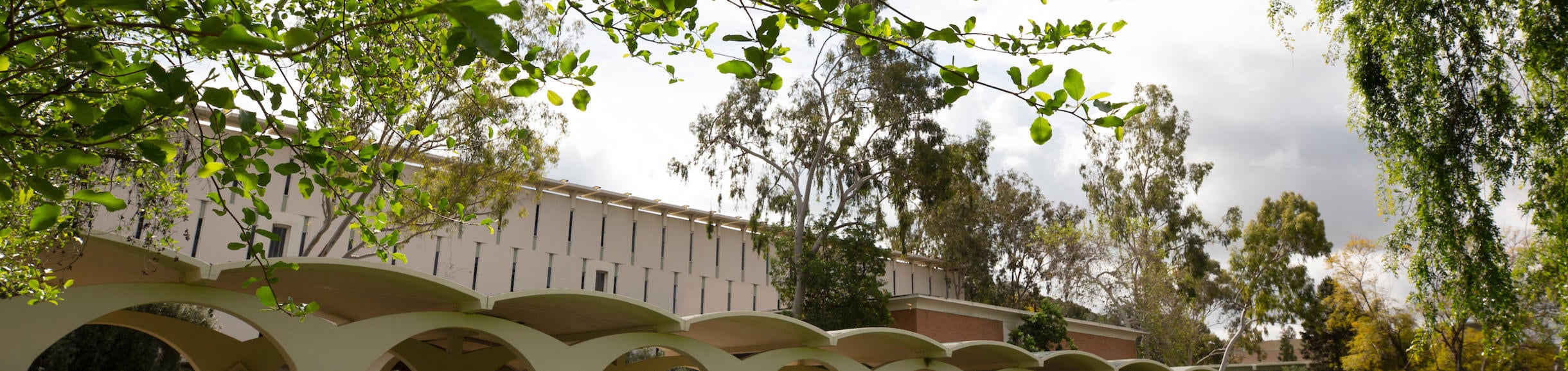 Rivera Library