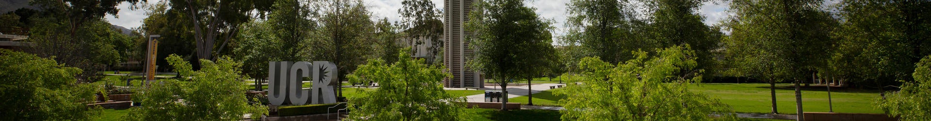 Sunny Campus day with UCR statue and Bell Tower
